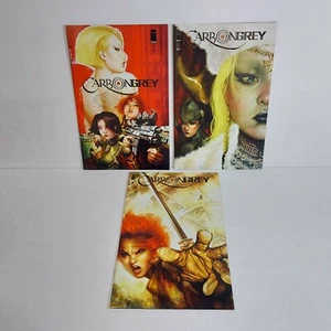 2011 Carbon Grey #1-3 Complete Set Image Comics - Picture 1 of 5
