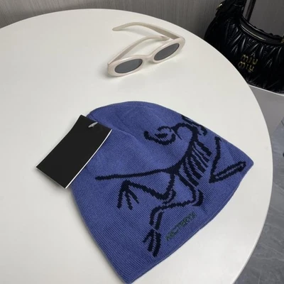 NUEVO Arc'teryx Cabeza de Pájaro Toque Gorro Lavanda Púrpura Invierno Sombrero Auténtico Foto 1 de 4