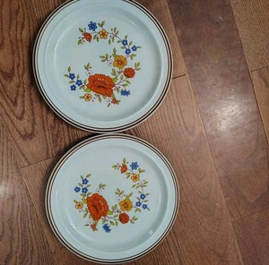 Vintage Summer Garden by Excel Stoneware dinner plates Retro 70s Floral 2 Piece - Picture 1 of 4
