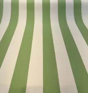 Sunbrella Townsend Ginkgo Green Stripe Outdoor Fabric By the yard - Picture 1 of 6