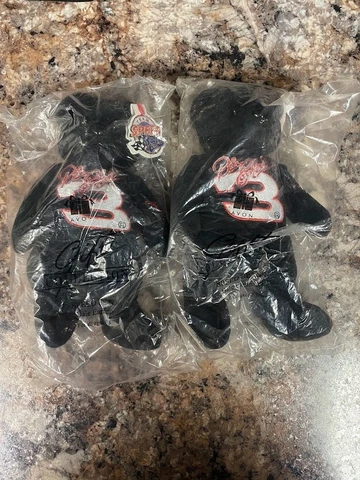NASCAR #3 Dale Earnhardt Team Speed Bear Avon 2002 Plush NWT Unopened x2 Cover