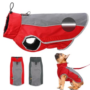 Jack Russell Dog Coat for sale | eBay