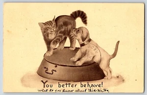 Postcard Comic Cartoon Kitten Cat Puppy Dog Pets Better Behave c1911 - Picture 1 of 3