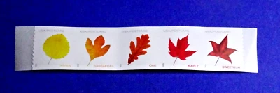 US 5971-5975 VIBRANT LEAVES ND POSTCARD (F) RATE COIL STRIP OF 5 EXCESS BACKING* - Image 1 of 2