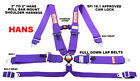 6 POINT SFI 16.1 CAM LOCK RACE HARNESS HANS WITH STERNUM STRAP BOLT IN PURPLE