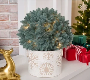 Bethlehem Lights 15" Over-lit Sphere with 3-in-1 Micro LEDs BLUE SPRUCE H459237 - Picture 1 of 5