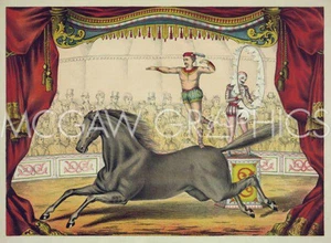 Circus Male and Horse, Vintage Repro, Wall Decor Home Art Print  11" x 14"  1652 - Picture 1 of 1