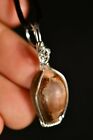 SERPENT HEAD COWRIE *Silver* Pendant 4cm 3g +Cord Wire Wrapped Sterling Shell