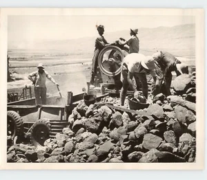 Workmen Break Up Stones for PAVING ROADS for ISRAEL Vintage 1951 Press Photo - Picture 1 of 2