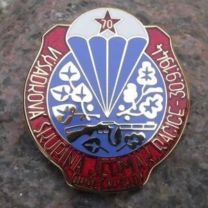 2014 Soviet Partisan Resistance Parachute Brigade 70th Anniversary Pin Badge - Picture 1 of 2