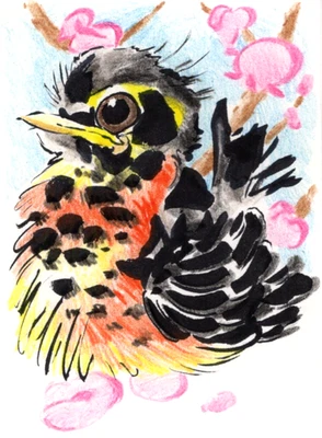 Tinta de arte original Robin Fledgling y lápiz de colores tamaño AECO ÚNICO EN SU CLASE Foto 1 de 2