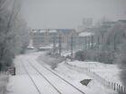 Photo 6X4 Snow On The Guided Busway Cambridge/Tl4658 There Is Still No S C2010