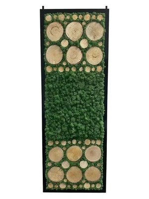 Moosbild Mooswand Moosdeko Moospanel Moosbild Vireluxe - Bild 1 von 4