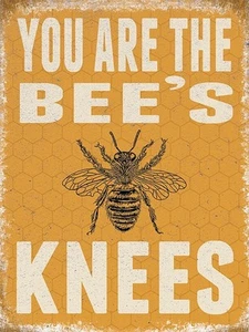 You Are The Bee's Knees fridge magnet (og) - Picture 1 of 1