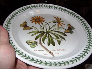 PORTMEIRION BOTANIC GARDEN AFRICAN DAISY 10.5" PLATE SIMPLY THE RAREST THERE IS! - Picture 1 of 6