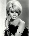 Elke Sommer In "The Money Trap" - 8X10 Publicity Photo (Zy-211)