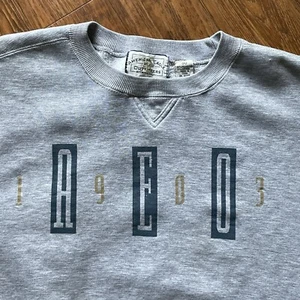 American Eagle Sweatshirt Mens XL Gray Crewneck Pullover Cotton/Poly Blend AEO - Imagen 1 de 9