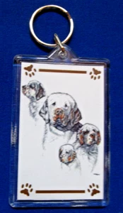 Clumber Spaniel Keychain 2"x 3" ~ New - Picture 1 of 2