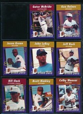Lot (8) 1995 Durham Bulls Herald-Sun LeRoy Green Bock McBride Raines etc (GS12)