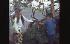 1960's? RV Park Kids petting a mule Deer in velvet 35mm Slide
