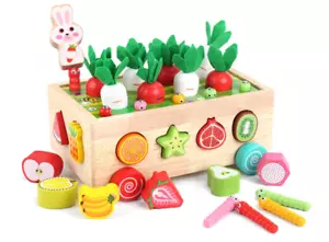Montessori Wooden Shape Sorting Toy – Educational Gift for Toddlers Ages 1-3 - Picture 1 of 8