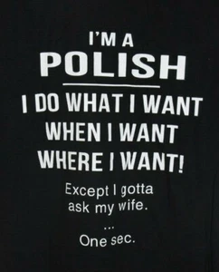 POLISH- I Do What...Except I Gotta Ask My Wife-One Sec. T-Shirt Large Black - Picture 1 of 4