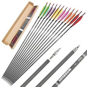 Archery 30" Carbon Arrows 6" Feathers SP400 Recurve Compound Bow Hunting Target - Picture 1 of 16