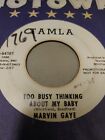 Marvin Gaye Too Busy Thinking About My Baby 7" 45Rpm Rare Oop Very Good