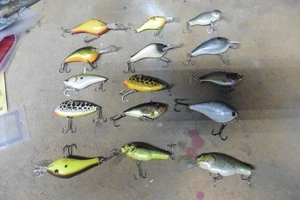 Lot of 15 pig Lures baby deep Rapala etc - Picture 1 of 7