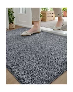 DEXI Front Door Mat 32x48, Super Absorbent Washable Doormat, Non Slip Dirt Tr... - Picture 1 of 9