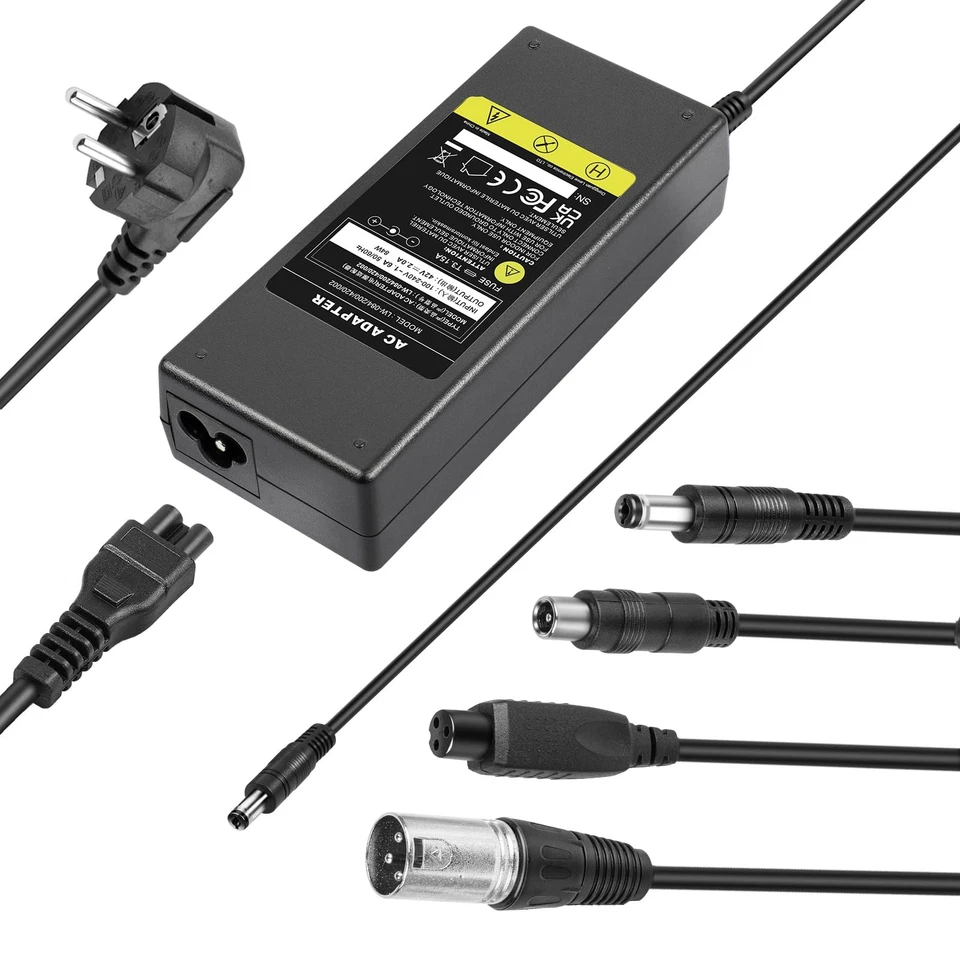 LABTEC Caricabatterie bici elettrica 42V 2A per 36V 2A 10S batteria Li on Caricatore