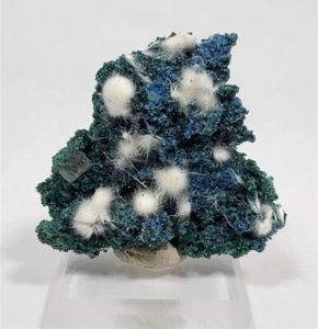 Okenit auf blauem Chalcedon mit Calcit, Aurangabad, Maharashta, Indien - Bild 1 von 5