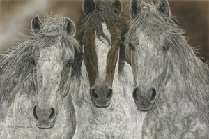 Judy LARSON " The Misfits " Limited Edition PRINT Wild Native Horses ART RARE - Picture 1 of 10