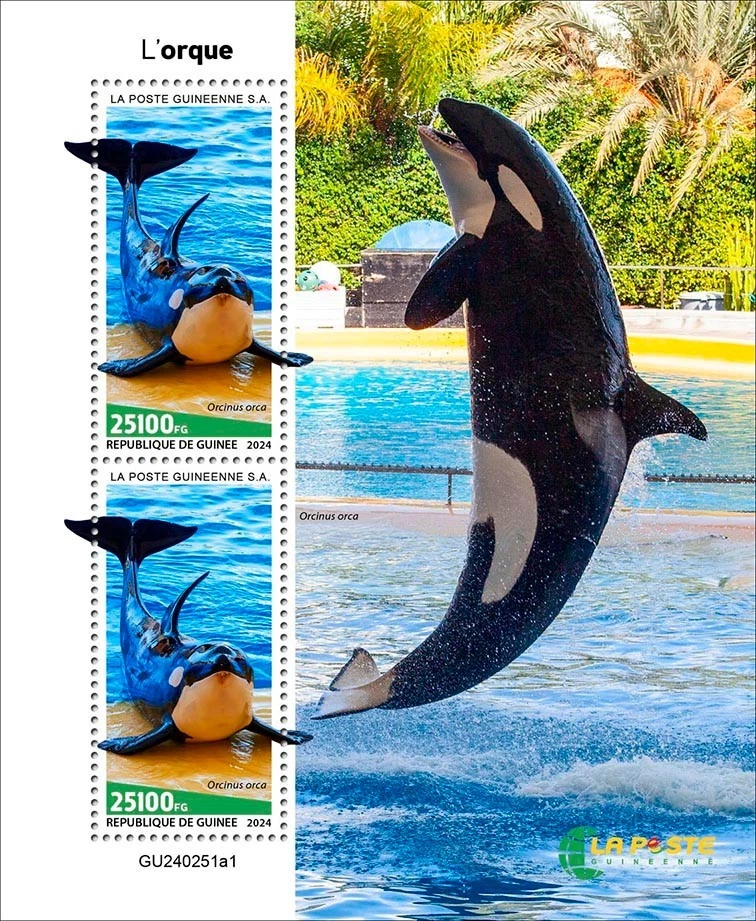 Марки косатки косатки киты как новые без наклеек и следов 2024 Гвинея M/S - Изображение 1 из 1
