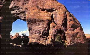 Original 1981 Kodachrome 35mm Slide - Arches National Park Utah - Vintage Film - Picture 1 of 3