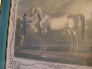 1765 engraving THE PORTRAITURE OF CRAB   wonderfully framed - Picture 1 of 5