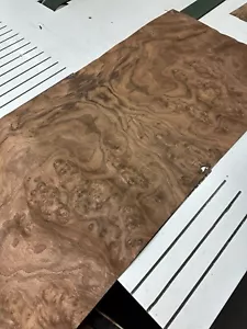 Walnut Burl Raw Wood Veneer ONE sheet 25'' x 25'' 48F - Picture 1 of 8