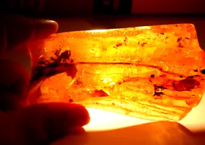 Grande ramoscello con mosche formiche alate in ambra di copal colombiana fossile GIGANTE 137 grammi - Foto 1 di 18