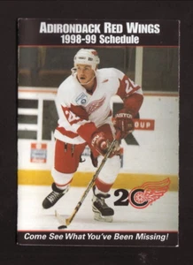 Adirondack Red Wings--Horario de bolsillo 1998-99--Celular One--AHL - Imagen 1 de 2