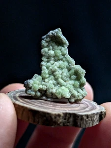 Fluorwavellite A+, Mauldin Mountain, condado de Montgomery, Arkansas, con base de madera - Imagen 1 de 12