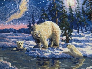 Completed Dimensions POLAR REFLECTIONS NEEDLEPOINT Panel--Design 15-1/2"x11-1/2" - Afbeelding 1 van 5