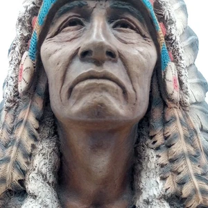 Neil J Rose GOLD FEATHER Chief #794/1500 Edizione Limitata Nativi Americani - Foto 1 di 23