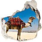 Kamel in Kairo 125x125 cm 3D Look Effekt Tapete Wandbilder XXL Wohnzimmer