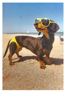 Tarjeta de felicitación de cumpleaños - perro en traje de baño - Imagen 1 de 2
