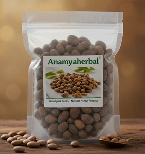 Jamalgota/Croton Tiglium/Jayaphala/Jamalghota Whole Seeds , 100% Indian Herbs - Picture 1 of 4