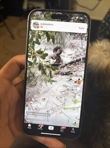 IPHONE 14 Pro Max WITH TIKTOK APP  - Picture 1 of 5