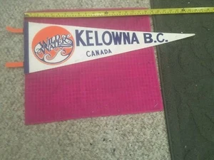 Vintage - KELOWNA British Columbia Pennant Canada WILD WATER PARK - FAST SHIPPER - Picture 1 of 6