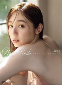 Calendario de Pared HAGOROMO Rina Koike 2025 B2 CL25-0237 Japón Nuevo con Seguimiento - Imagen 1 de 1