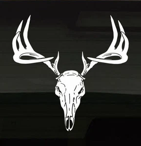 Deer Buck Skull Realistic Rack 13"x13" Hunting Trophy Large Vinyl Decal Sticker - Picture 1 of 1