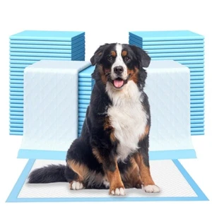Pet Pads for Dogs 24x36 Unscented Blue Ultra-Absorbent Potty Training Pads 50 Ct - Picture 1 of 17